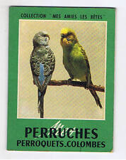 MES PERRUCHES PERROQUETS COLOMBES  LA MAISON RUSTIQUE 1959  elevage