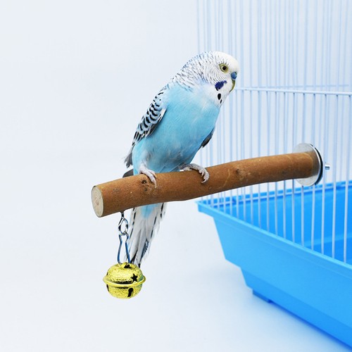 Bird entertainment perchoir - ,