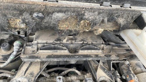 Boite air citroen - boite,