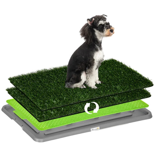 Toilette chien litière - chien,