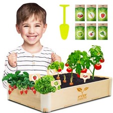 Kit Jardinage Enfant Plante à Faire Pousser - Kit Prêt à Pousser Interieur - ...