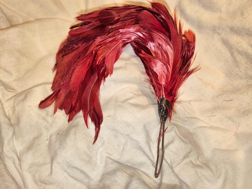 Plumet coq rouge retombant