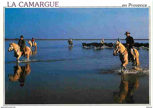 Carte postale animaux - postale,