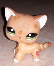 Petshop chat europeen 1120