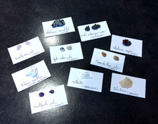 Lot 10 sachets 10 sortes