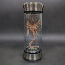 Pot Lumineux Alien, Spécimen De Xenomorph, Pot En Verre D'Embryon, Accessoire De