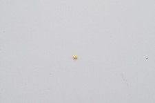 Jaeger LeCoultre Reverso Lady