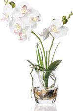 1 Pcs Glass Vase Artificial