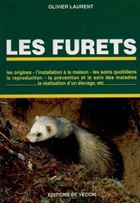 Les furets, Olivier Laurent