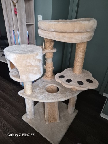 Arbre chat état - chat, l'état.