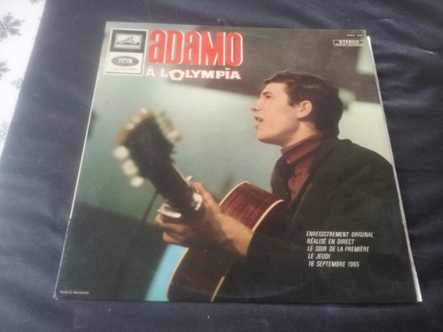 33t adamo - adamo, –