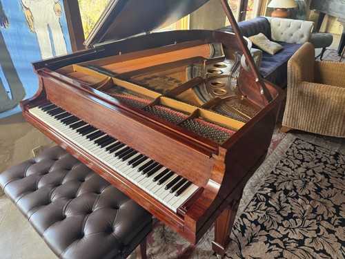 Steinway grand piano model - piano, o