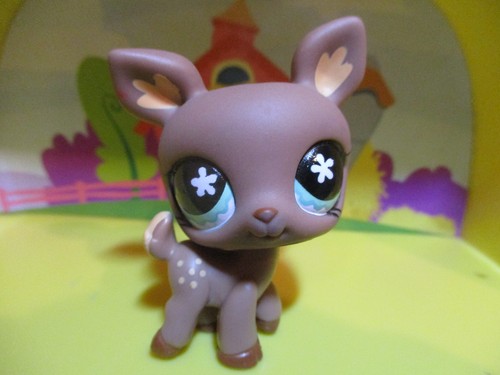 Petshop biche 670 - /, avec