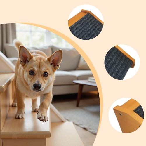 Rampe pour chien bois - chien, en