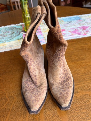 Old gringo leopardito - gringo, calf
