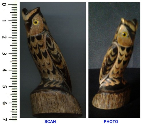 Collection chouette hibou - de, chouette/hibou