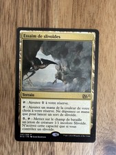 Carte Essaim de Slivoïdes FR