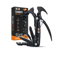 BIIB outil multifonction 12 en