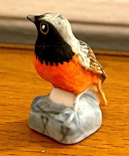 Magnifique fève mat oiseau - fève,