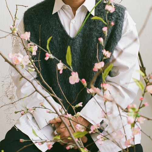 Shigeto cherry blossom - cherry, baby
