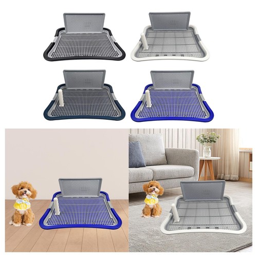 Toilettes pour chien avec