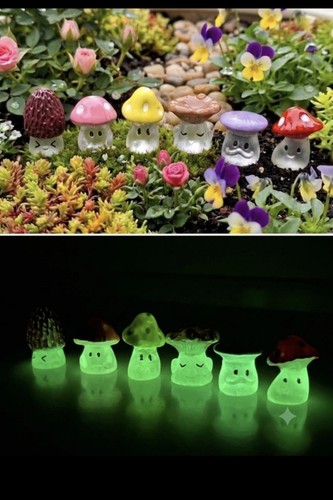 Lot mini champignons - lot,