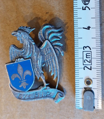 Insigne 67e bip bataillon - 67e,