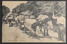 CPA 32 : ATTELAGE DE BOEUFS - 1900 - NON CIRCULÉE