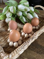 Présentoir porte oeufs