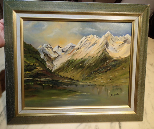 Les pyrénées hst montagne - les,