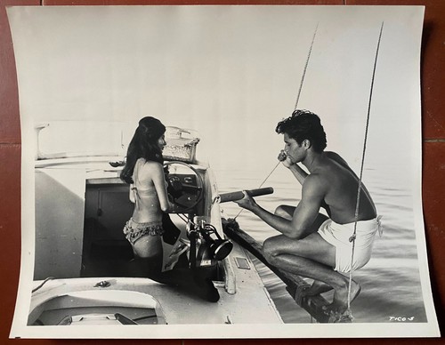 Photo tiko requin - et, le