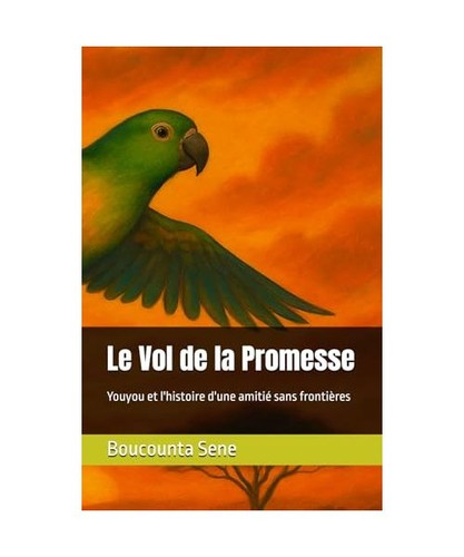 Vol promesse youyou - le, la