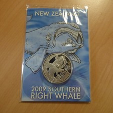 New zealand right whale - new,