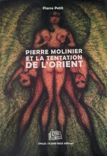 Livre pierre molinier - livre,