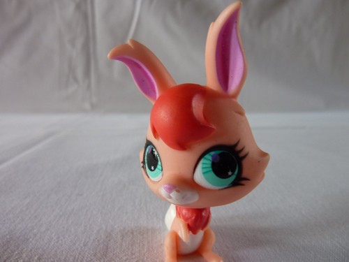 Petshop lps littlest - littlest,