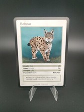 Bobcat Life Tcg 2023 - 82/100