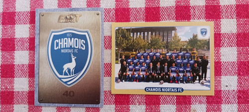 Panini foot 2015 - foot, ligue