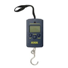 Axia Digital Échelle Max
