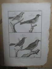 Gravure vers 1780