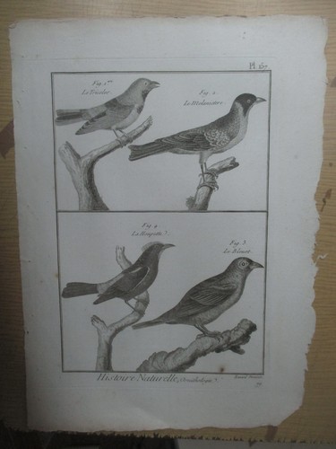 Gravure vers 1780
