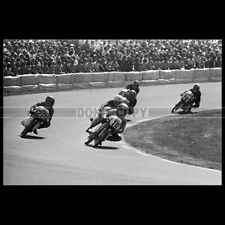 Photo M.000381 BRUNO