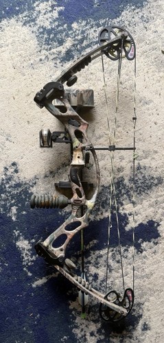Hoyt trykon sport - hoyt, compound