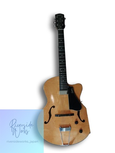 guitare electrique godin
