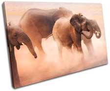 Baby Elephant Animals SINGLE