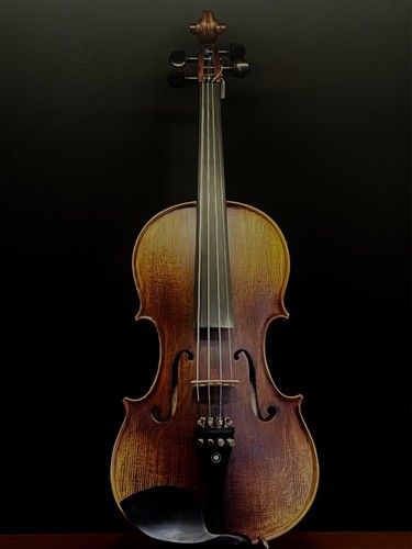 Brand new violin including - a, violin,