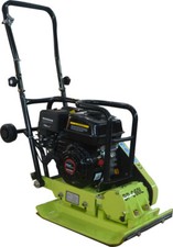 PLAQUE VIBRANTE - DAMEUSE -