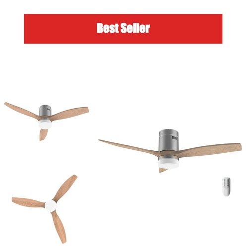 Cecotec ventilateur plafond - ventilateur,