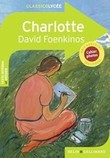 Charlotte de Foenkinos, David | Livre | état acceptable