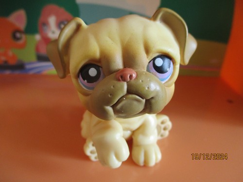Petshop chien bouledogue 135 - chien, #135