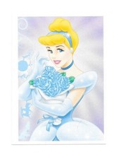 Vignette Disney - Princesse